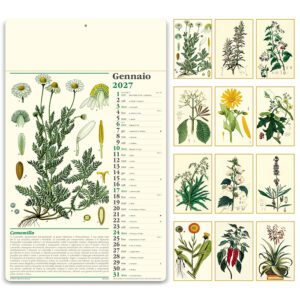 Illustrati Erboristeria PA011