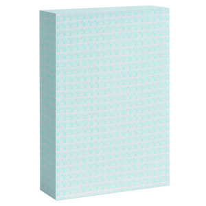 Astuccio PB598